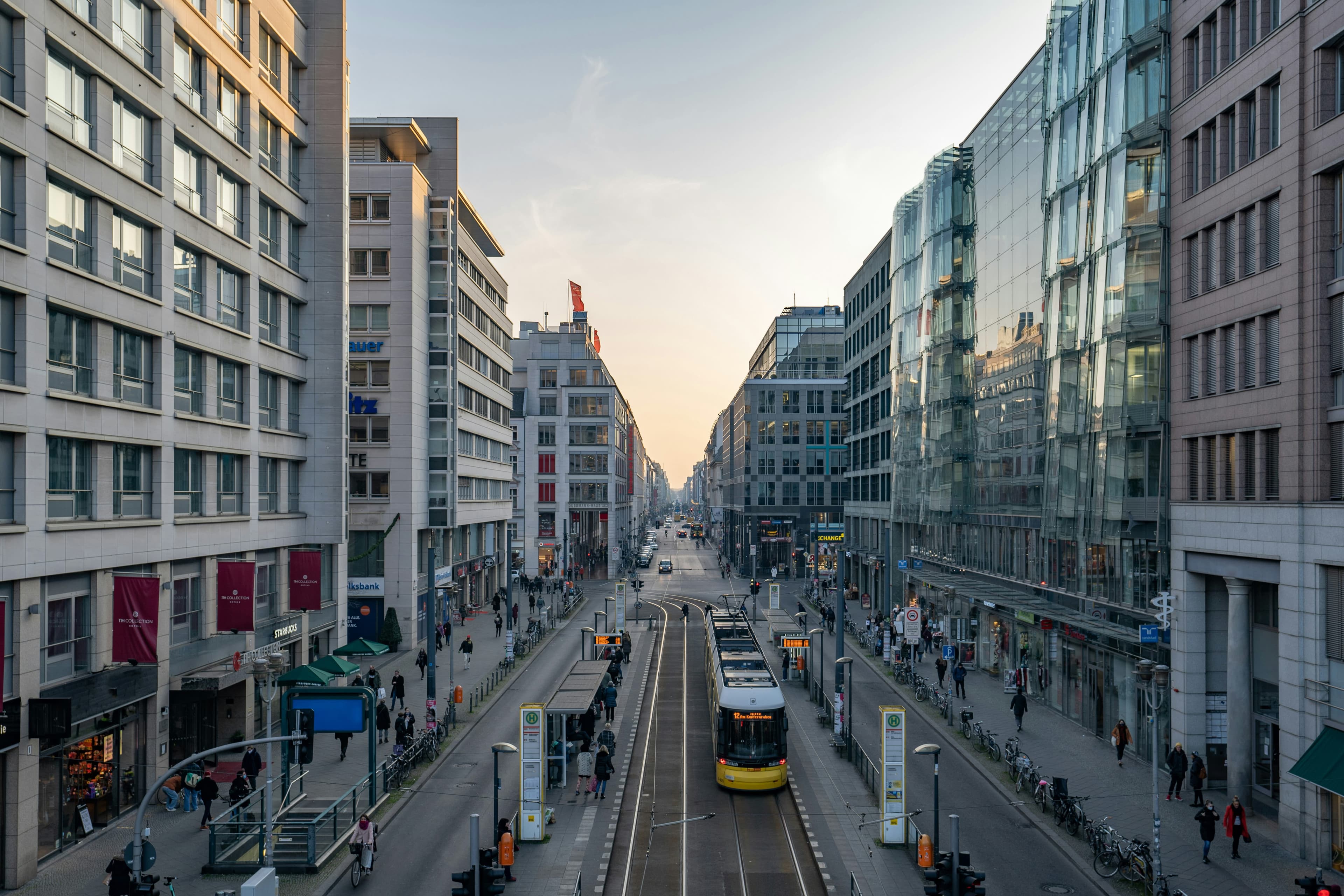 search-section-background