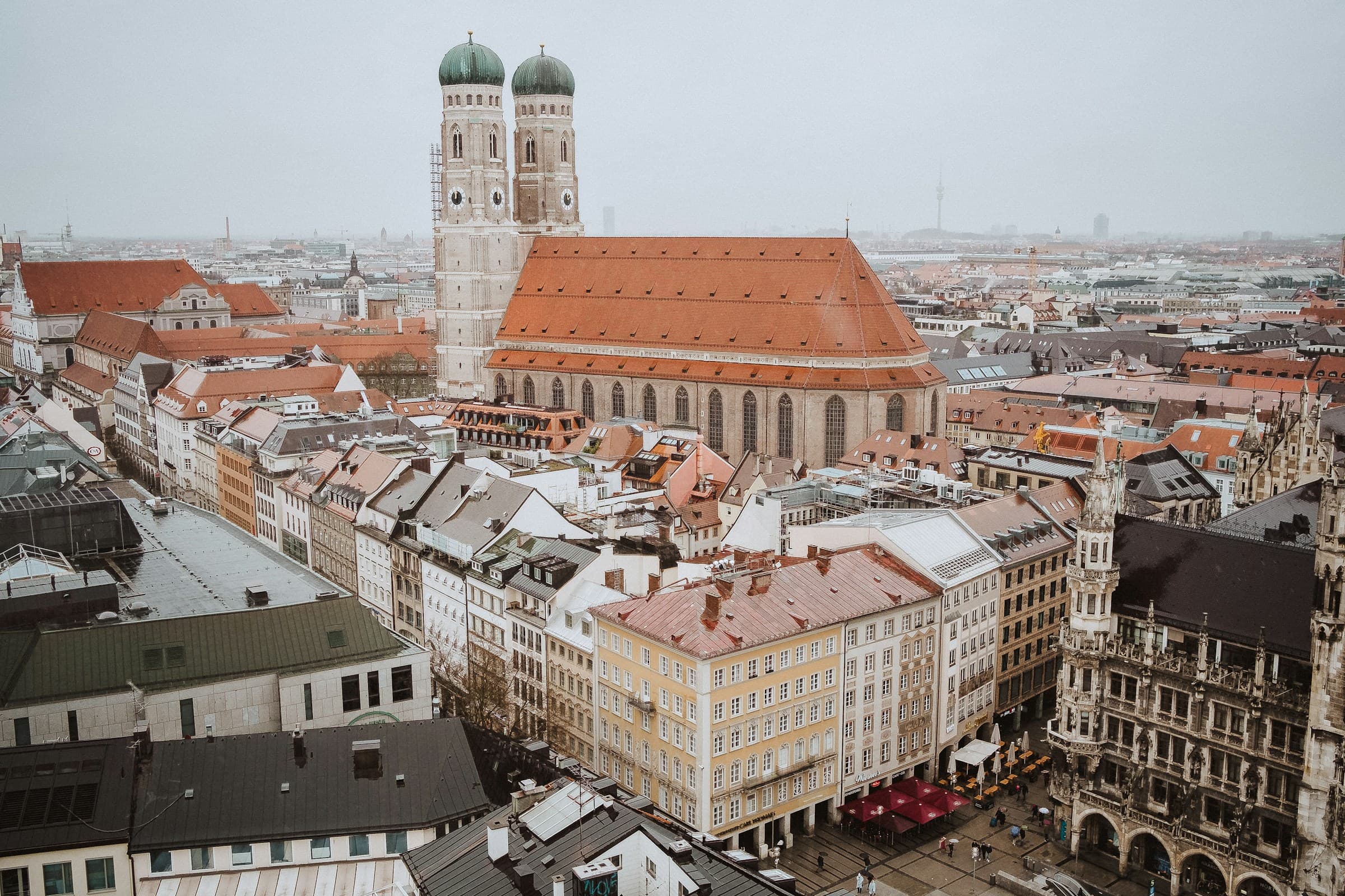 search-section-background