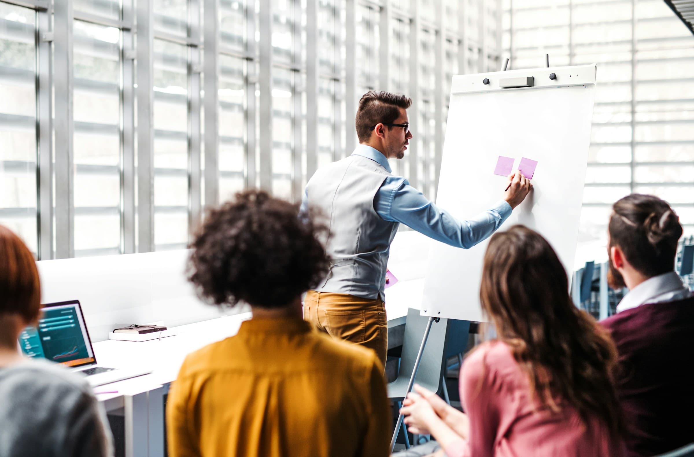 search-section-background