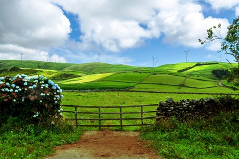 Açores Ilha Terceira - Halbtagesausflug